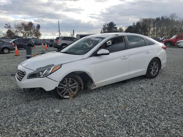 2016 Hyundai Sonata ECO