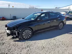 Nissan salvage cars for sale: 2023 Nissan Altima SV