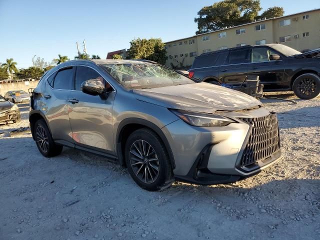 2024 Lexus NX 250 Premium