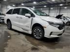 2023 Honda Odyssey EXL