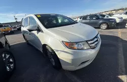 Salvage cars for sale at Oklahoma City, OK auction: 2014 Honda Odyssey EXL