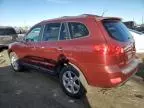 2007 Hyundai Santa FE SE