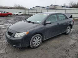 Compre carros salvage a la venta ahora en subasta: 2010 Toyota Corolla Base