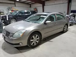 Salvage cars for sale at Chambersburg, PA auction: 2004 Nissan Maxima SE