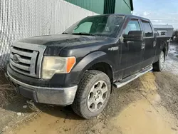 2012 Ford F150 Supercrew en venta en Montreal Est, QC