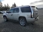 2007 Cadillac Escalade Luxury