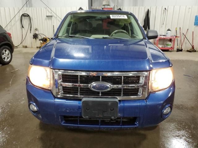 2008 Ford Escape XLT