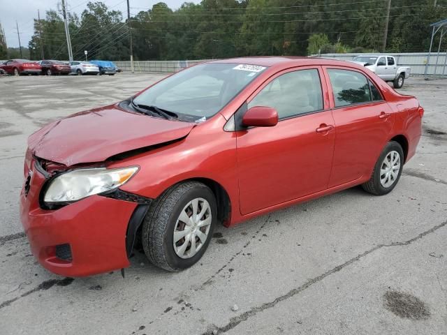 2010 Toyota Corolla Base