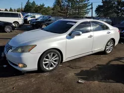 Lexus salvage cars for sale: 2010 Lexus ES 350