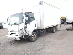 2019 Isuzu NPR HD en venta en Brighton, CO