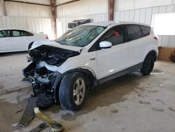 Ford Escape salvage cars for sale: 2014 Ford Escape SE