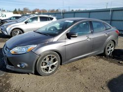 Ford Vehiculos salvage en venta: 2014 Ford Focus SE