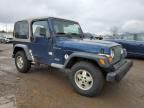 2001 Jeep Wrangler / TJ SE