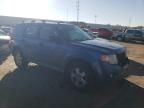 2009 Ford Escape XLT