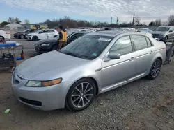 Salvage cars for sale at Hillsborough, NJ auction: 2006 Acura 3.2TL