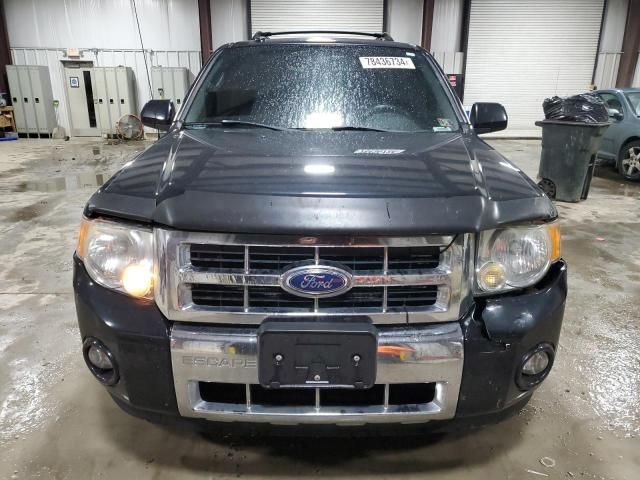 2010 Ford Escape Limited