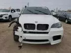 2010 BMW X5 M