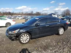 Honda Accord exl salvage cars for sale: 2015 Honda Accord EXL