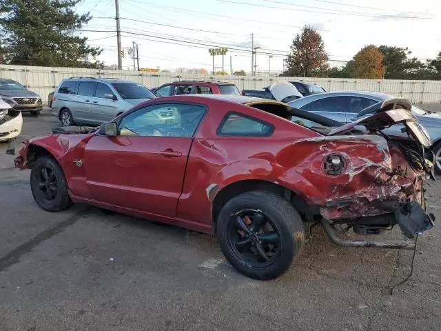 2009 Ford Mustang GT