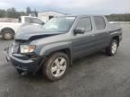 2013 Honda Ridgeline RTL