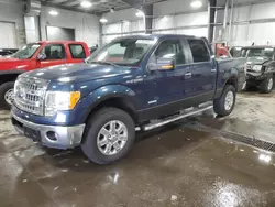 Salvage trucks for sale at Ham Lake, MN auction: 2013 Ford F150 Supercrew