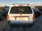 2004 Ford Escape XLT