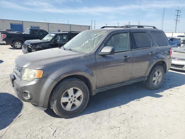 2010 Ford Escape XLT