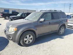 Ford Vehiculos salvage en venta: 2010 Ford Escape XLT