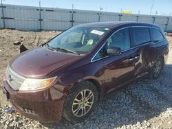 Salvage cars for sale from Copart Cahokia Heights, IL: 2013 Honda Odyssey EXL