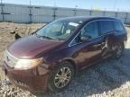 2013 Honda Odyssey EXL