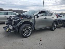 Lexus nx 350h salvage cars for sale: 2022 Lexus NX 350H