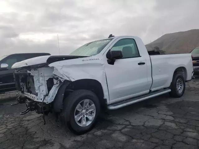 2024 Chevrolet Silverado C1500