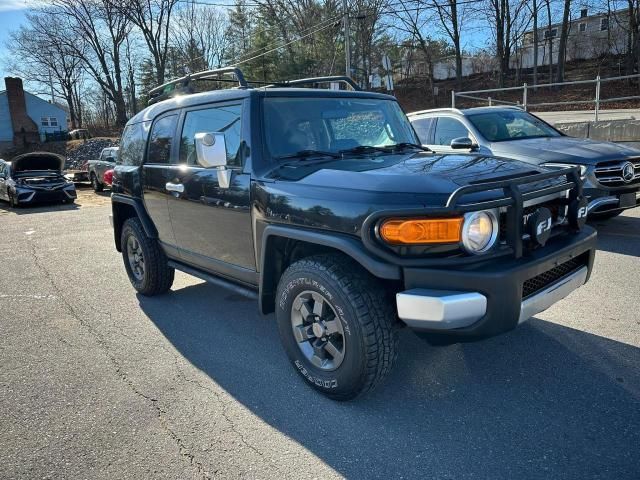 2007 Toyota FJ Cruiser