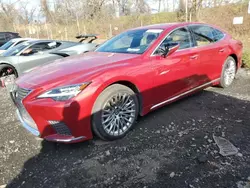 Flood-damaged cars for sale at auction: 2024 Lexus LS 500 Base