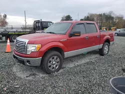 Ford salvage cars for sale: 2010 Ford F150 Supercrew