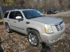 2008 Cadillac Escalade Luxury