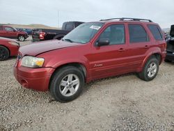 Salvage cars for sale at Magna, UT auction: 2007 Ford Escape HEV