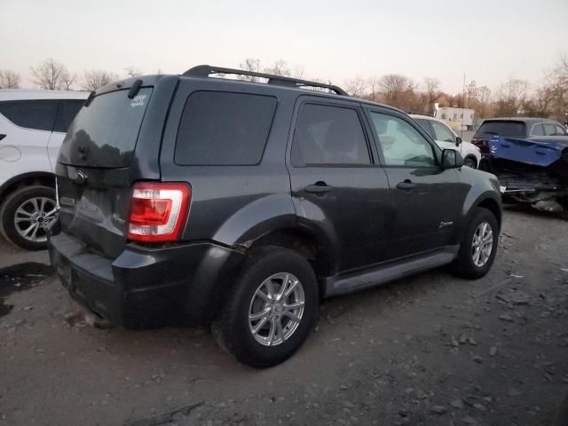 2009 Ford Escape Hybrid