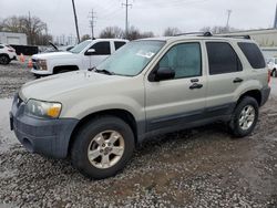 Ford salvage cars for sale: 2005 Ford Escape XLT