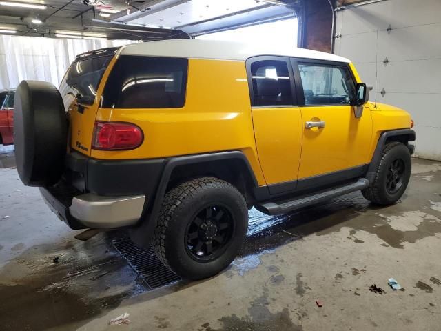 2007 Toyota FJ Cruiser