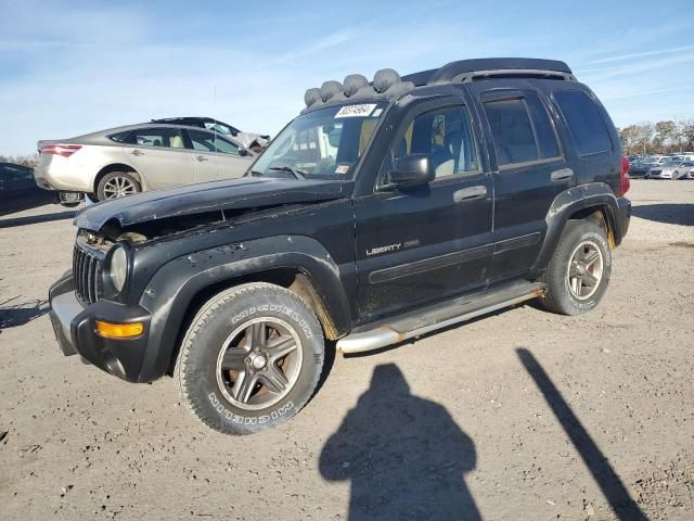 2003 Jeep Liberty Renegade