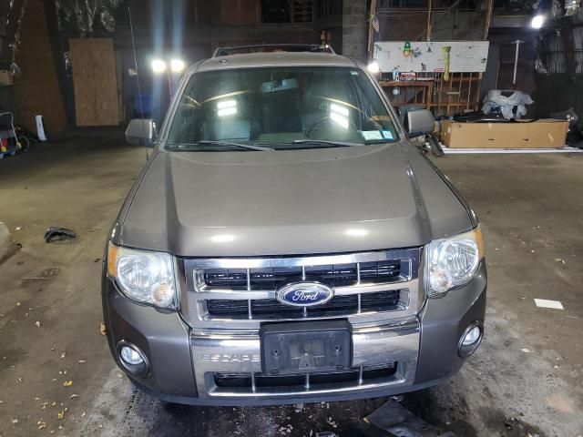 2011 Ford Escape Limited