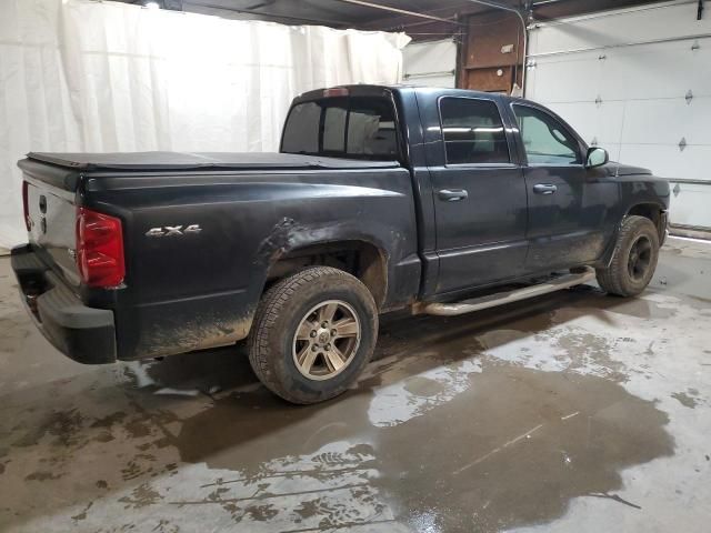 2008 Dodge Dakota Quad SLT