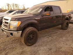 Ford f-150 Vehiculos salvage en venta: 2013 Ford F150 Supercrew