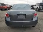 2008 Honda Accord LXP