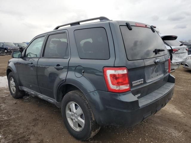 2009 Ford Escape XLT