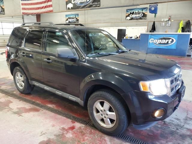 2009 Ford Escape XLT