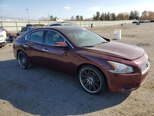 2010 Nissan Maxima S