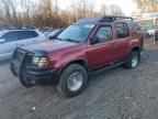 2001 Nissan Xterra XE