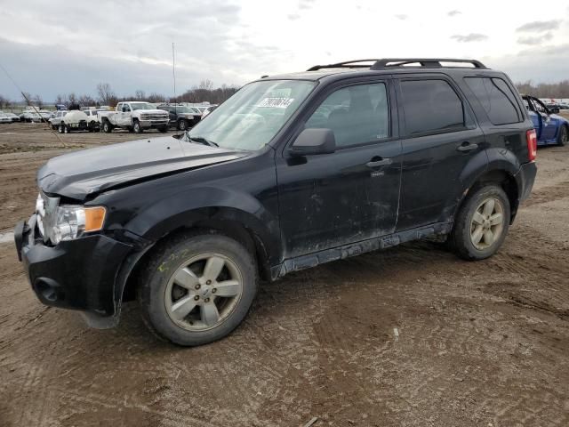 2009 Ford Escape XLT